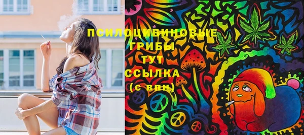мдма Богданович