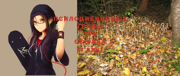 мдма Богданович