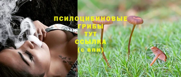мдма Богданович